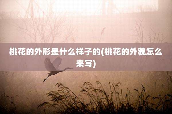 桃花的外形是什么样子的(桃花的外貌怎么来写)