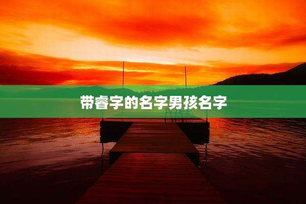 带睿字的名字男孩名字