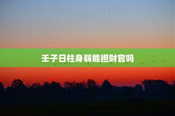 壬子日柱身弱能担财官吗