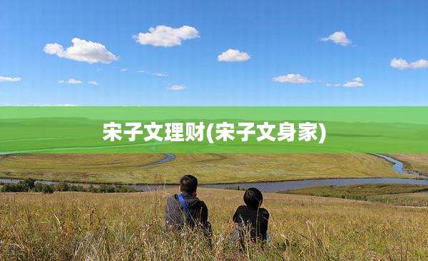 宋子文理财(宋子文身家)