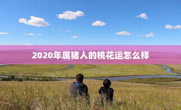 2020年属猪人的桃花运怎么样