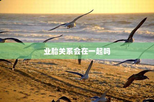 业胎关系会在一起吗