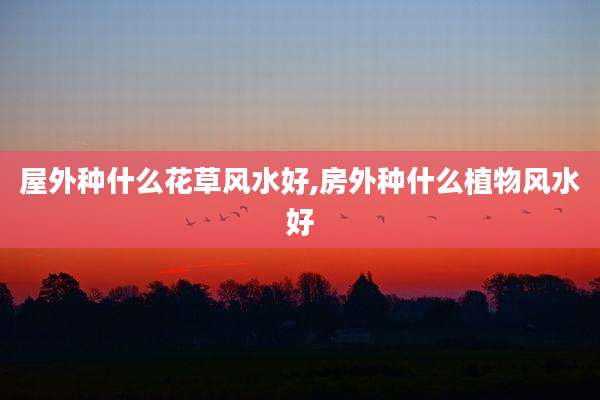 屋外种什么花草风水好,房外种什么植物风水好