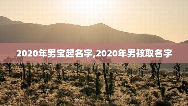 2020年男宝起名字,2020年男孩取名字