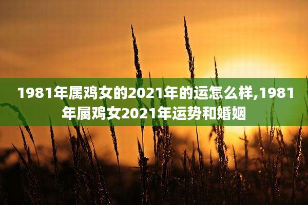 1981年属鸡女的2021年的运怎么样,1981年属鸡女2021年运势和婚姻