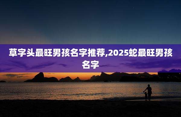 草字头最旺男孩名字推荐,2025蛇最旺男孩名字