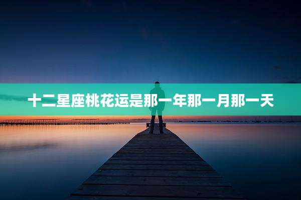 十二星座桃花运是那一年那一月那一天