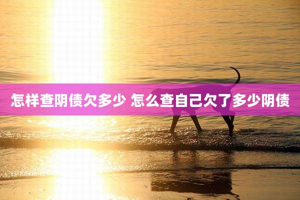 怎样查阴债欠多少 怎么查自己欠了多少阴债
