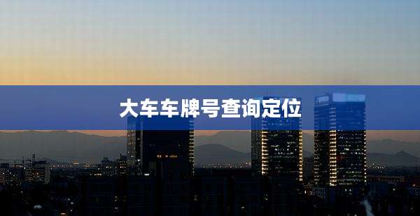 大车车牌号查询定位
