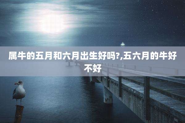 属牛的五月和六月出生好吗?,五六月的牛好不好