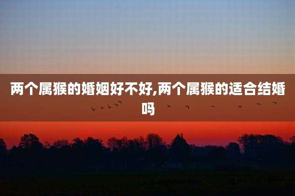 两个属猴的婚姻好不好,两个属猴的适合结婚吗