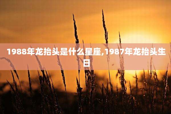 1988年龙抬头是什么星座,1987年龙抬头生日