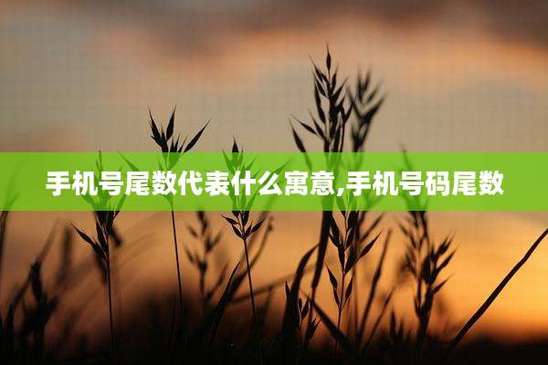 手机号尾数代表什么寓意,手机号码尾数