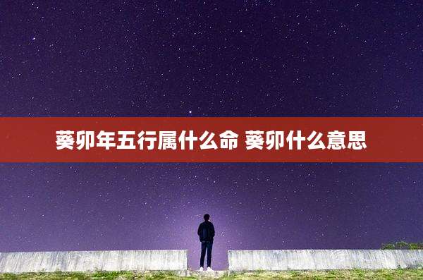 葵卯年五行属什么命 葵卯什么意思