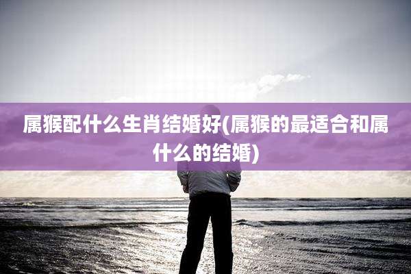 属猴配什么生肖结婚好(属猴的最适合和属什么的结婚)