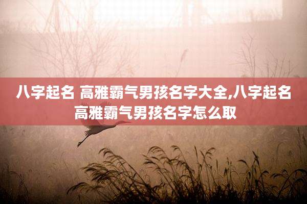 八字起名 高雅霸气男孩名字大全,八字起名 高雅霸气男孩名字怎么取