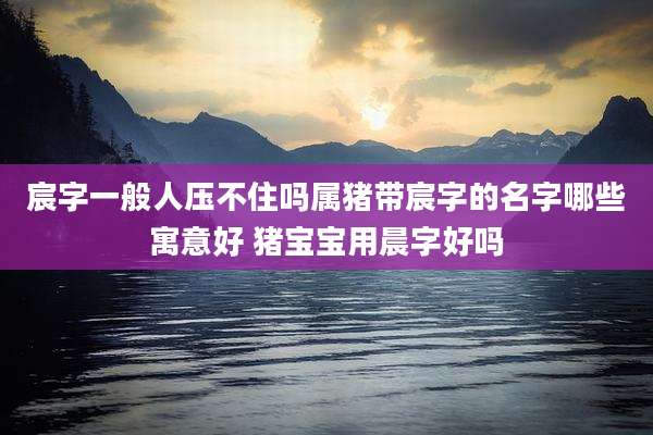 宸字一般人压不住吗属猪带宸字的名字哪些寓意好 猪宝宝用晨字好吗