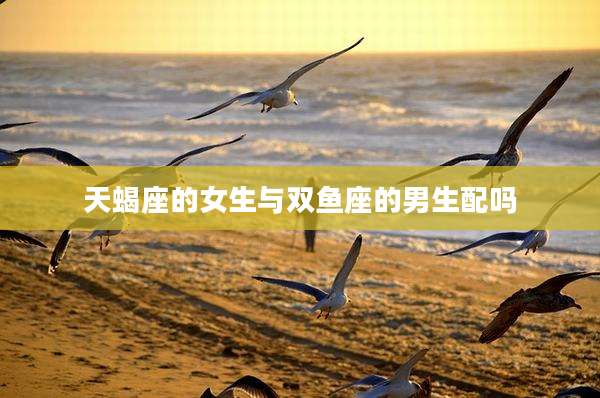 天蝎座的女生与双鱼座的男生配吗