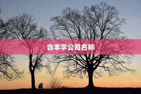 含丰字公司名称