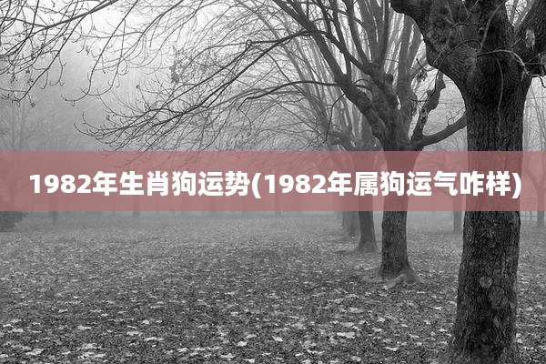 1982年生肖狗运势(1982年属狗运气咋样)