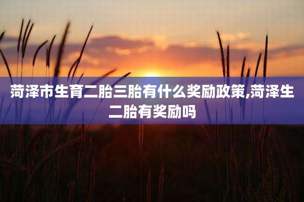 菏泽市生育二胎三胎有什么奖励政策,菏泽生二胎有奖励吗