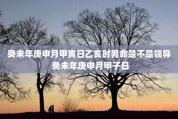 癸未年庚申月甲寅日乙亥时男命是不是领导 癸未年庚申月甲子日