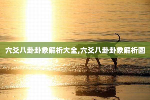 六爻八卦卦象解析大全,六爻八卦卦象解析图