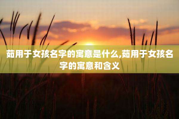 茹用于女孩名字的寓意是什么,茹用于女孩名字的寓意和含义