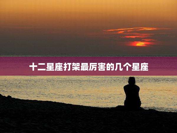 十二星座打架最厉害的几个星座
