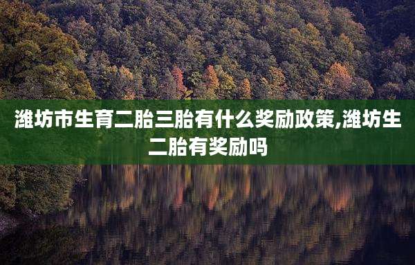 潍坊市生育二胎三胎有什么奖励政策,潍坊生二胎有奖励吗
