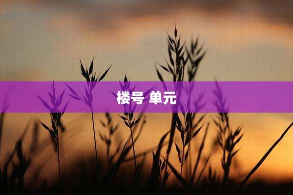 楼号 单元
