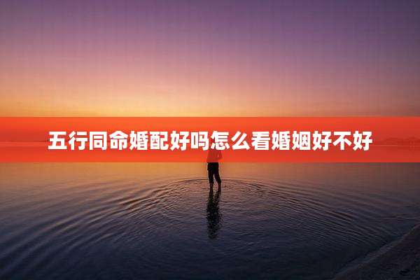 五行同命婚配好吗怎么看婚姻好不好