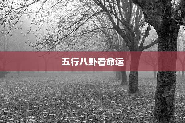 五行八卦看命运
