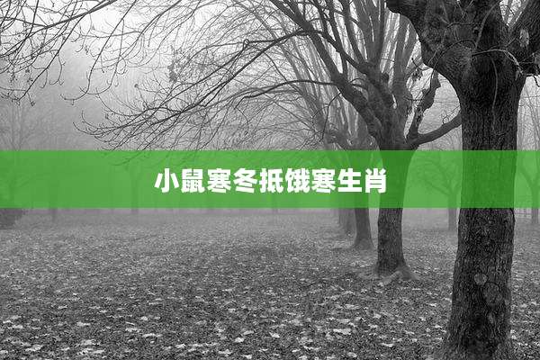 小鼠寒冬抵饿寒生肖