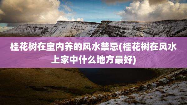 桂花树在室内养的风水禁忌(桂花树在风水上家中什么地方最好)