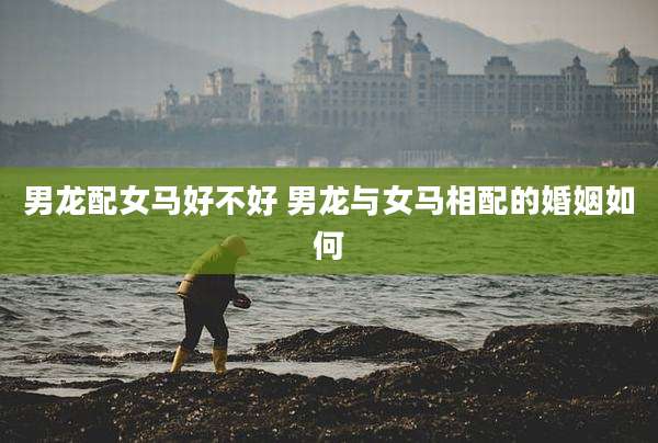 男龙配女马好不好 男龙与女马相配的婚姻如何