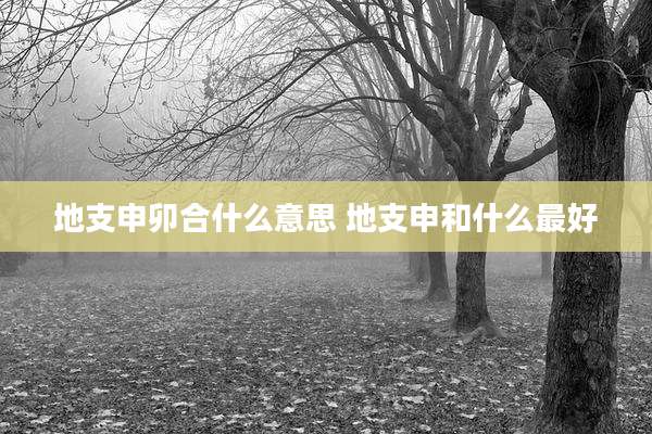 地支申卯合什么意思 地支申和什么最好