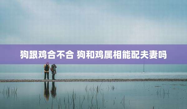 狗跟鸡合不合 狗和鸡属相能配夫妻吗
