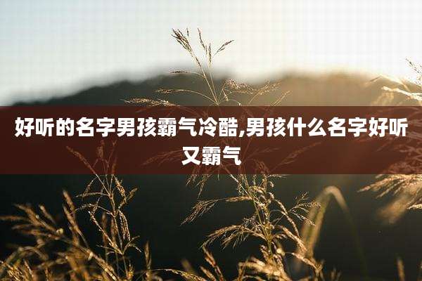 好听的名字男孩霸气冷酷,男孩什么名字好听又霸气