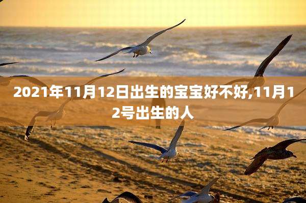 2021年11月12日出生的宝宝好不好,11月12号出生的人