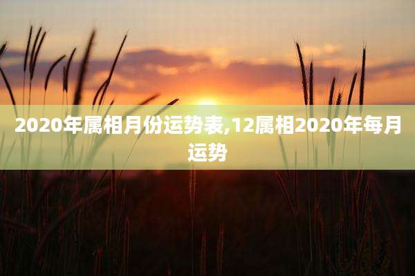 2020年属相月份运势表,12属相2020年每月运势