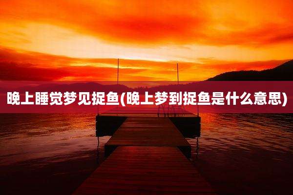 晚上睡觉梦见捉鱼(晚上梦到捉鱼是什么意思)
