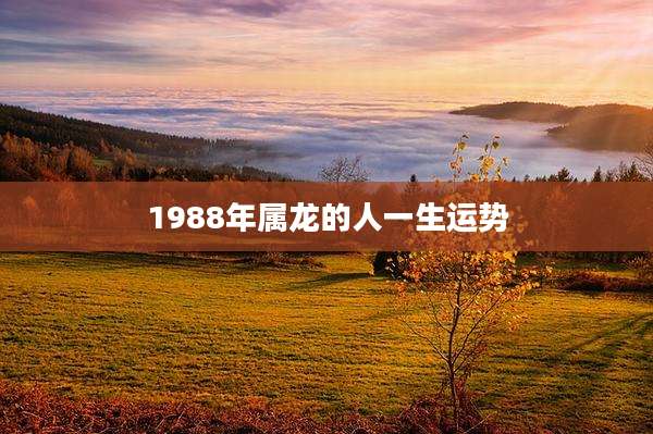 1988年属龙的人一生运势