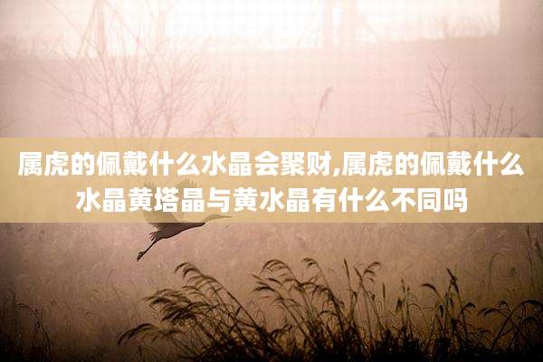 属虎的佩戴什么水晶会聚财,属虎的佩戴什么水晶黄塔晶与黄水晶有什么不同吗