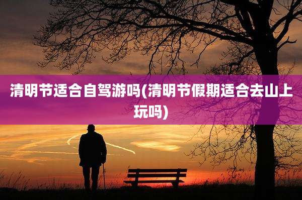 清明节适合自驾游吗(清明节假期适合去山上玩吗)