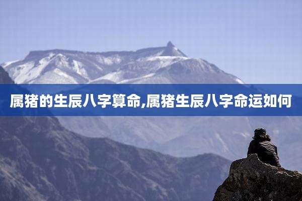 属猪的生辰八字算命,属猪生辰八字命运如何