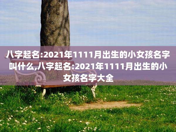 八字起名:2021年1111月出生的小女孩名字叫什么,八字起名:2021年1111月出生的小女孩名字大全