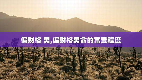 偏财格 男,偏财格男命的富贵程度