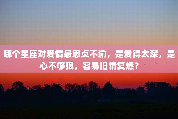 哪个星座对爱情最忠贞不渝,是爱得太深,是心不够狠,容易旧情复燃?