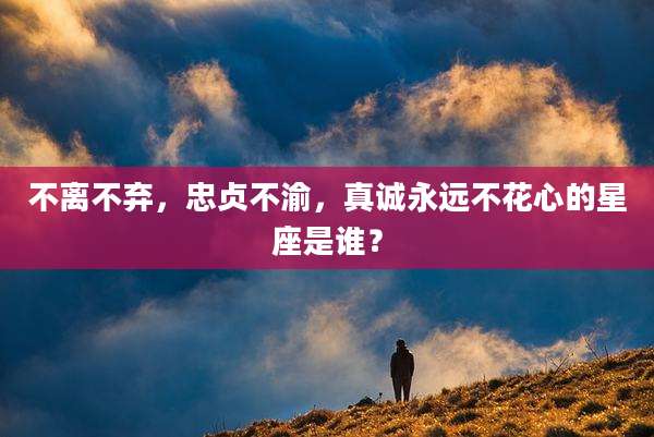 不离不弃,忠贞不渝,真诚永远不花心的星座是谁?